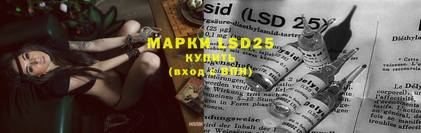прущие крисы Бородино