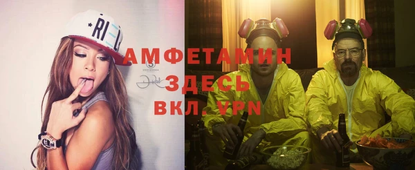 прущие крисы Бородино