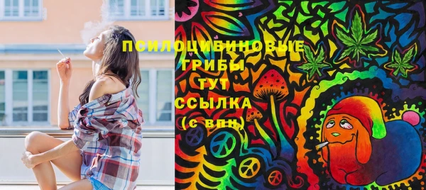 прущие крисы Бородино
