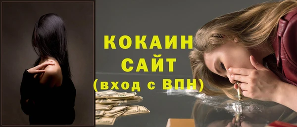 прущие крисы Бородино