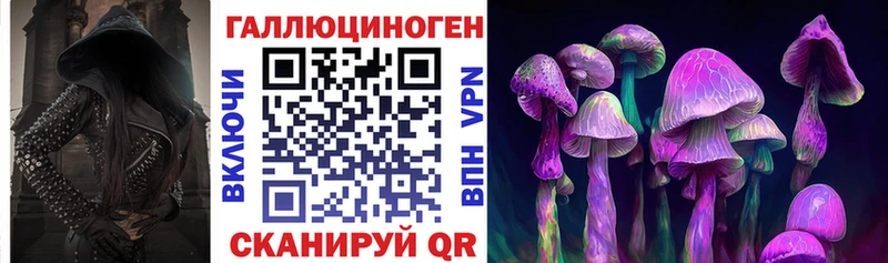 Галлюциногенные грибы Psilocybine cubensis  как найти   Северодвинск 